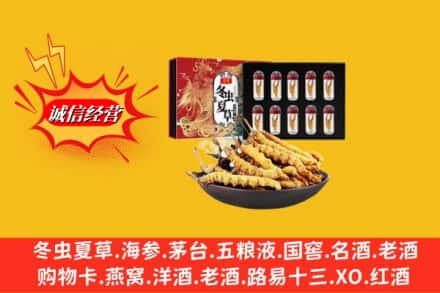 新市区回收冬虫夏草