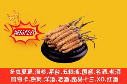 新市区名酒回收冬虫夏草.jpg